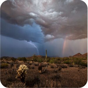 Arizona Premium Fragrance Oil