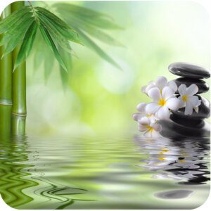 Bamboo Premium Fragrance Oil