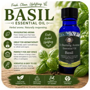 Basil Essential Oil