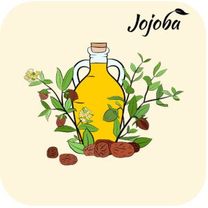 jojoba