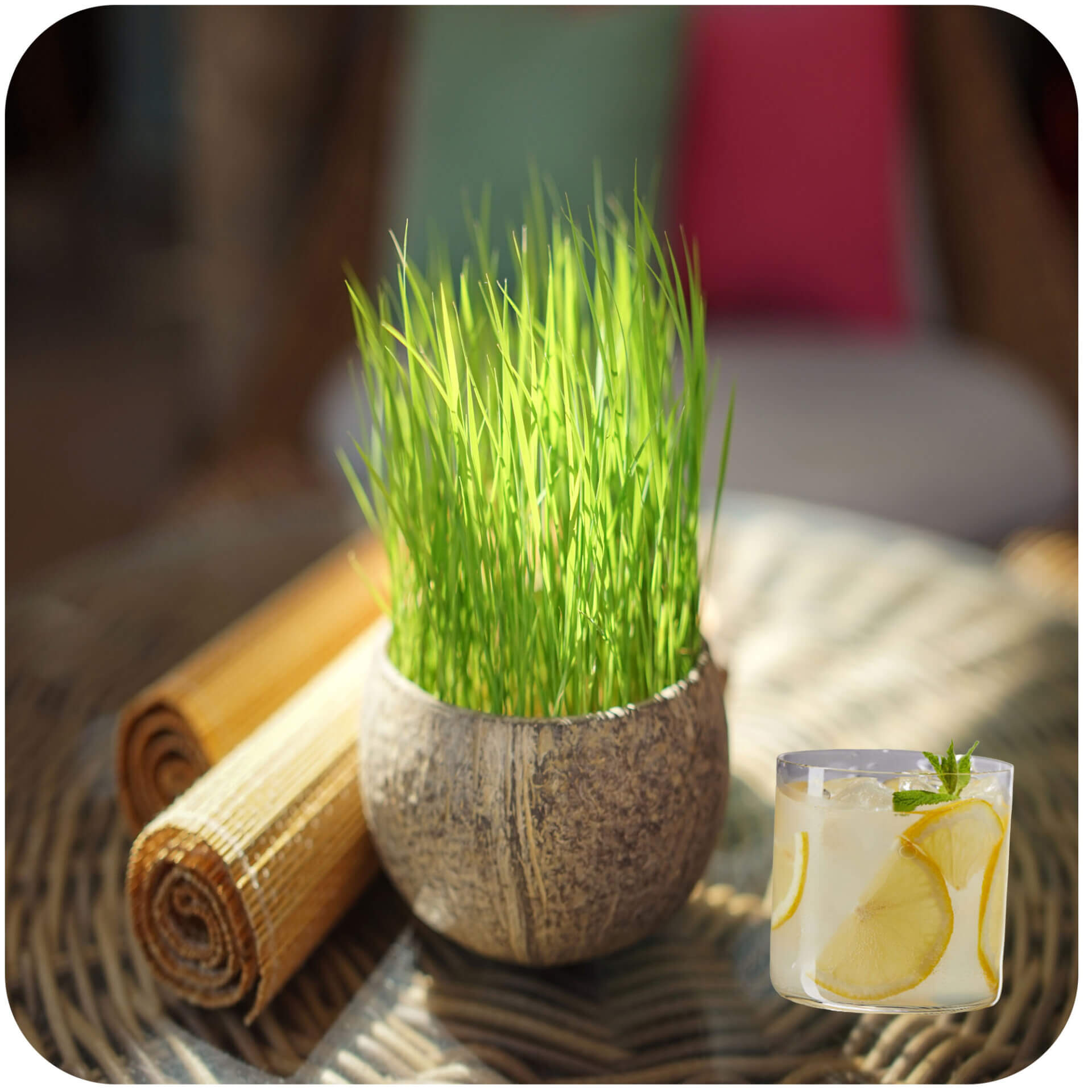 Lemongrass Fragrance Oil