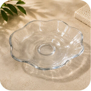 Large Clear Replacement Dish