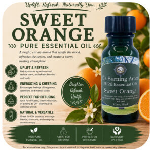 Sweet Orange Essential Oil
