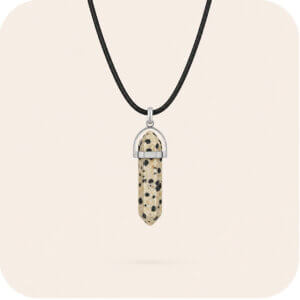 Dalmatian Jasper Floating Point Necklace