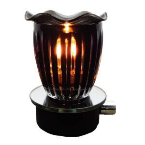 Smoke Glass Skull Plug-In Wax & Oil Warmer (Dimmer Dial Control)
