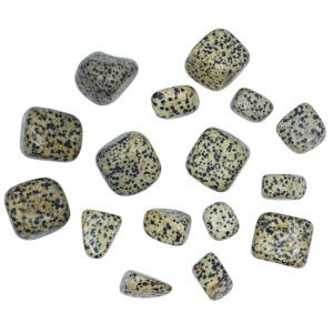 dalmatian jasper tumbled Crystal