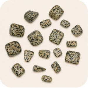 Dalmatian Jasper Tumbled