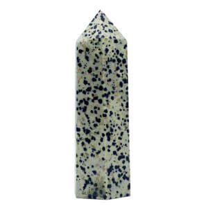 dalmatian jasper point