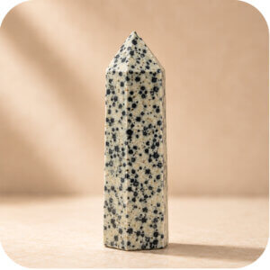Dalmatian Jasper Point