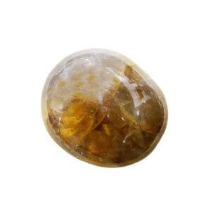 GOLDEN HEALER PALM STONE