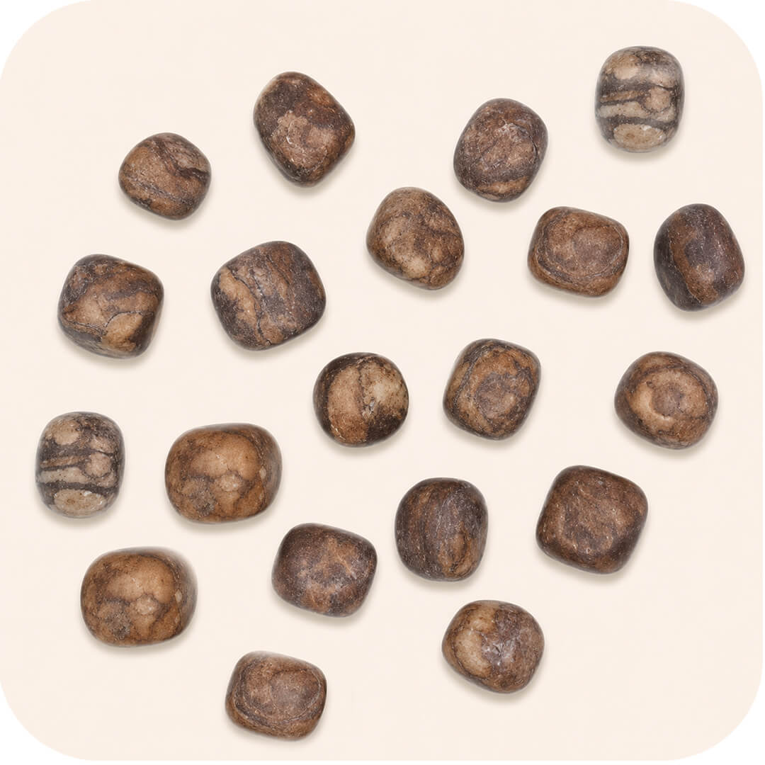 Picture Jasper Tumbled