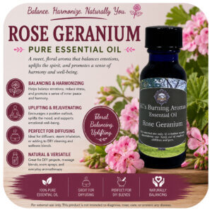Rose Geranium Essential Oil