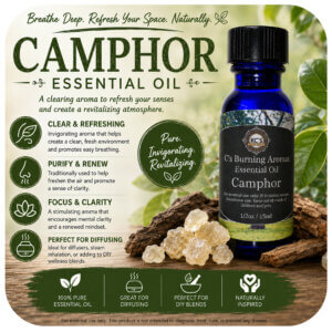 Camphor Essential Oil