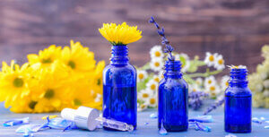 Essential Oils for Mosquitos
