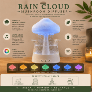 Rain Cloud Mushroom Diffuser
