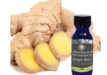 Ginger Essential Oil