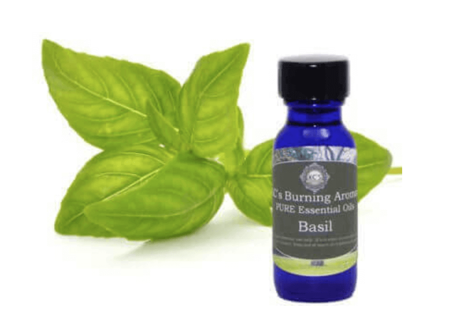 Basil Essential Oil