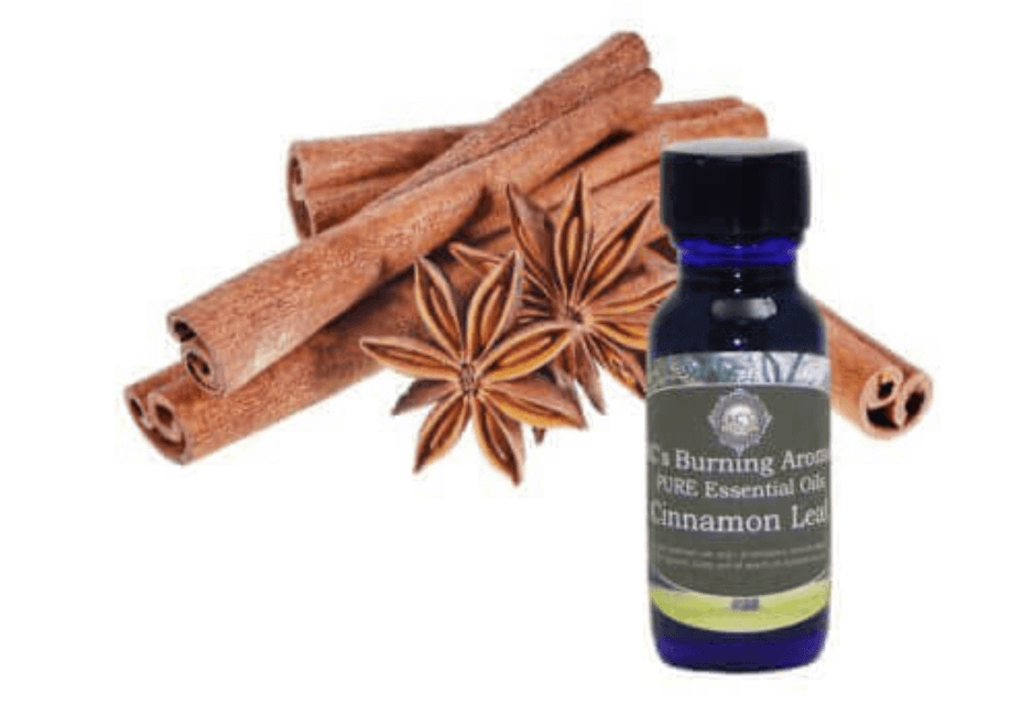 cinnamon leaf essential oil
