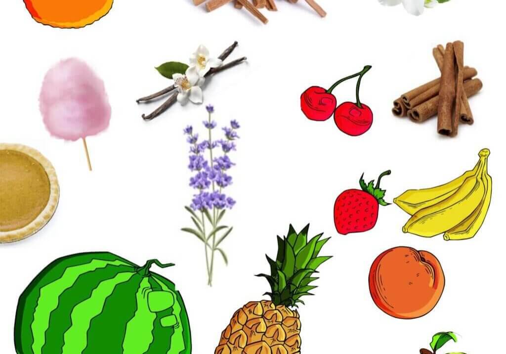 fragrances
