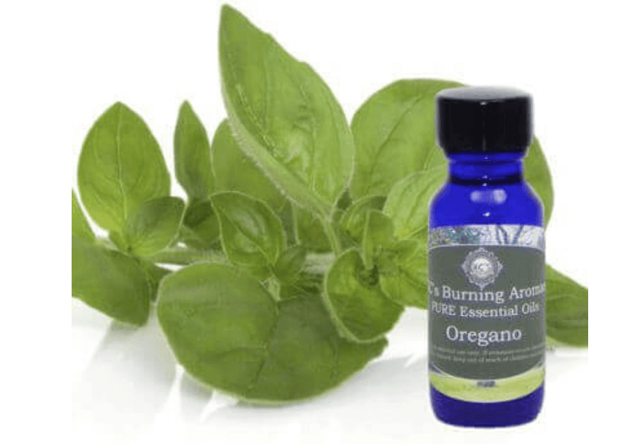 Oregano Essential Oil