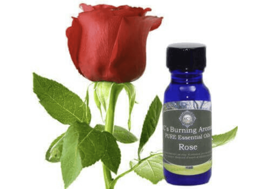 rose