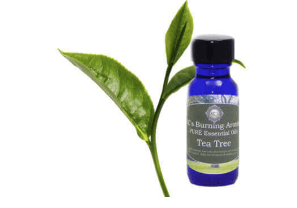 Tea Tree Essential OIl