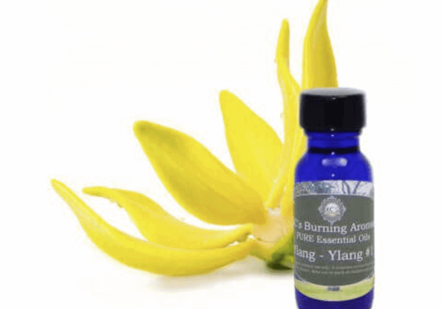 ylang-ylang essential oil